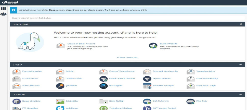 cPanel Sürümü Değiştirm