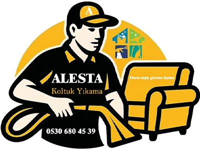 ALESTA Koltuk Yıkama